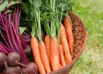 Як зберегти урожай городини до весни