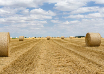 Жодна соломинка не пропаде