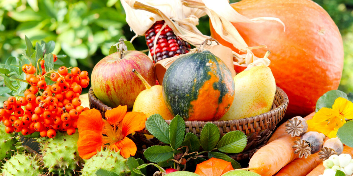 Жовтень на городі, в саду та квітнику