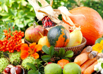 Жовтень на городі, в саду та квітнику