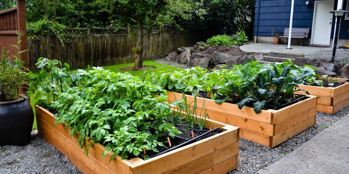 Восени закладають високі грядки