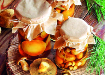 Найсмачніший маринад для лісових грибів