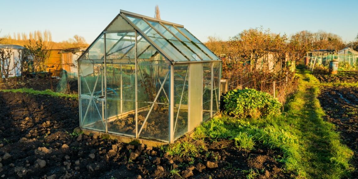 Землю в теплиці восени знезаражують