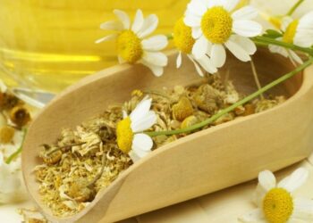 Рослини печінку підтримають