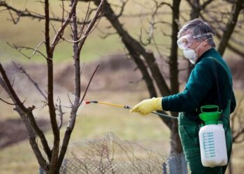 Особливості використання бордоської рідини