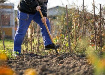 Чи треба перекопувати грядки восени?