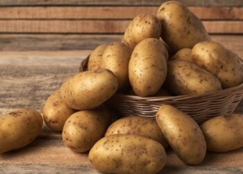 Як зберігати картоплю