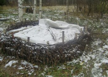 Як підготувати компостну яму чи купу до зими