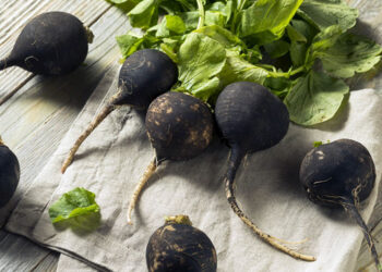 Гірка редька, але корисна…