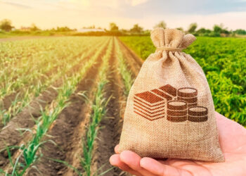 Хто сплачує земельний податок у 2024 році