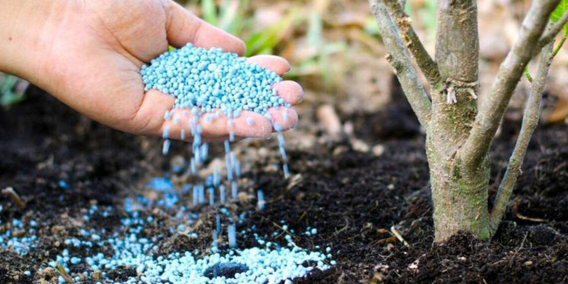 Коли вносити добрива у грунт навесні