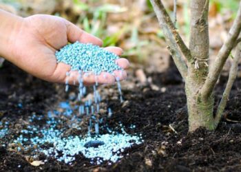 Коли вносити добрива у грунт навесні