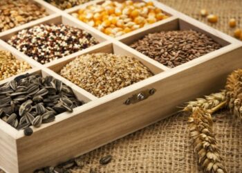 Як вибрати якісне насіння для щедрого врожаю