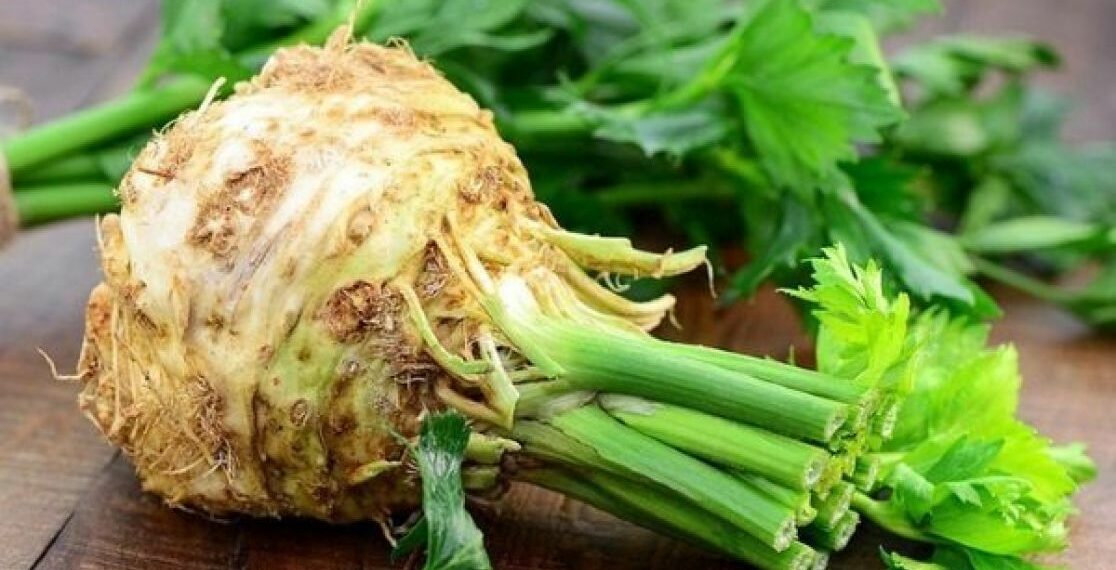 Насіння селери проростає довго