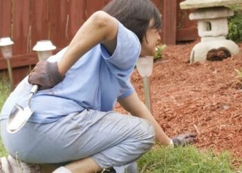 Після роботи на городі болить спина: що ж робити