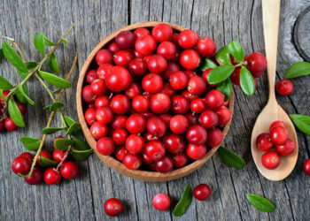 Виростити журавлину нескладно