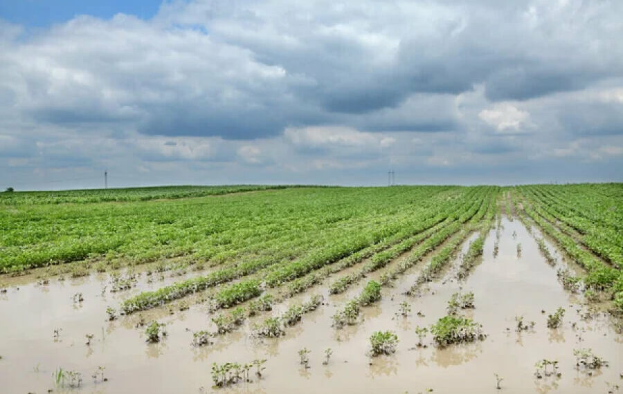 Як врятувати від підтоплення присадибну ділянку