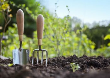 Травень на городі, в саду та квітнику