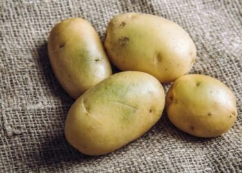 Позеленілу картоплю не споживайте!