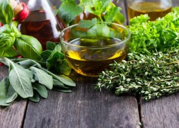 Який ґрунт полюбляють пряні трави