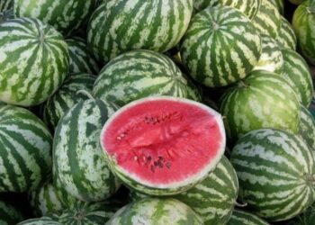 Аби кавуни були великими