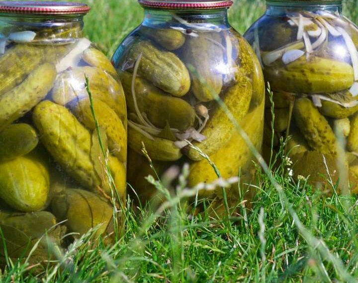 Квашені огірки — як бочкові