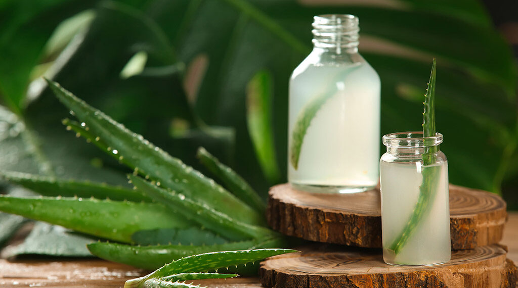 При опіках шкіри згадайте про сік алое