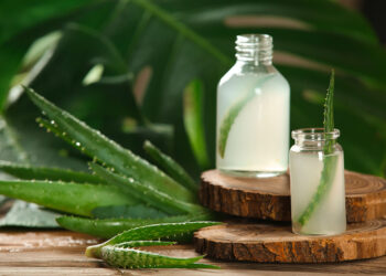 При опіках шкіри згадайте про сік алое