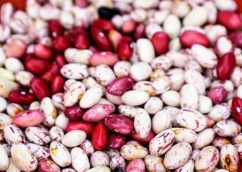 Ряба квасоля від цукрового діабету