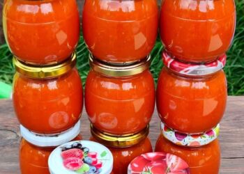 Домашній кетчуп: яскравий, ароматний, густий