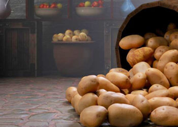 Білимо погріб: яке вапно краще для цього використати