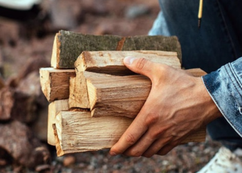 Дрова дозволять заготовляти безкоштовно