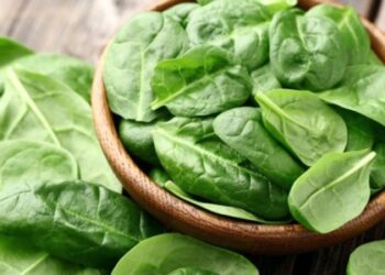 Час висіяти шпинат