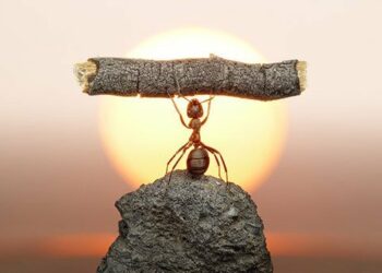 «Тримайся!», «Будь сильним!»: як працюють ці фрази