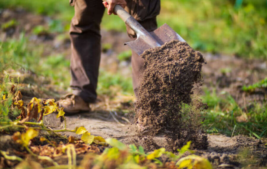 Готуємо органіку під осіннє перекопування