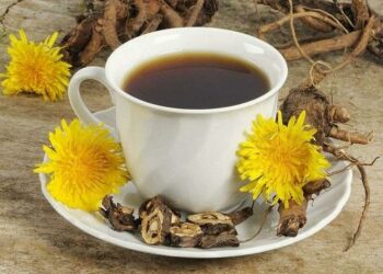 Як приготувати цілющий напій з коренів кульбаби