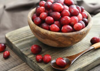 Про деякі лікувальні властивості журавлини