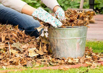 Компост із листя зробити просто