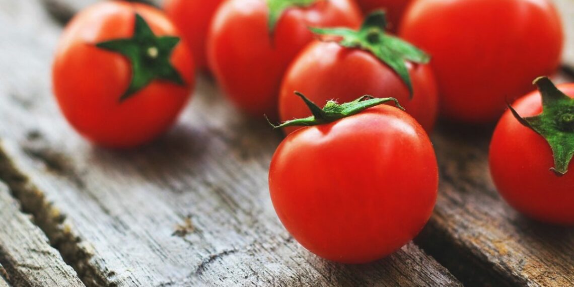 Як зберегти помідори свіжими до нового року
