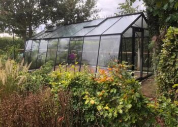 Як привести до ладу теплицю восени
