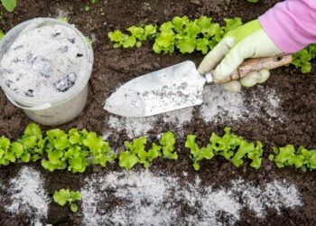 Добрива, що холоду бояться