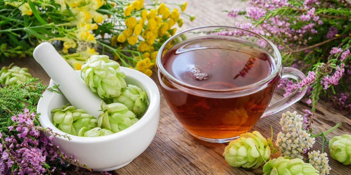 Народна медицина: при застуді та запаленні шлунка, щоб заспокоїти нерви і міцно спати