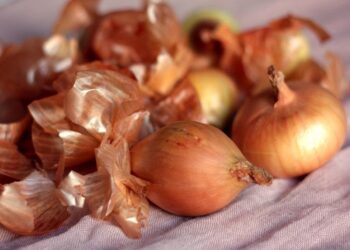 На город, а не в смітник: які продукти не варто викидати