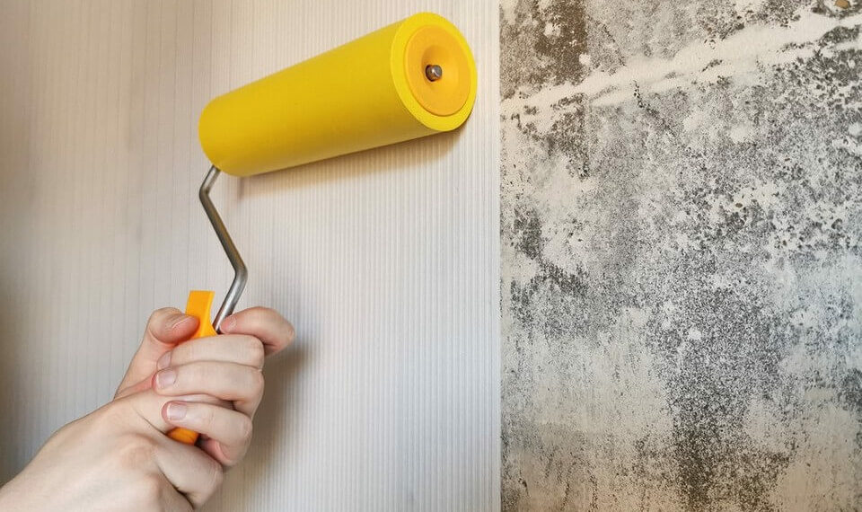 Чи можна клеїти шпалери на побілку