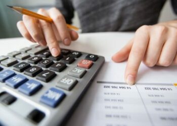 На що впливає єдиний страховий внесок