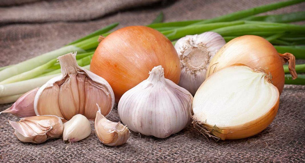 https://poradnica.com.ua/wp-content/uploads/2025/01/onion-and-garlic-01-1068x570.jpg