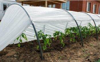 Тунельний парник — просто і дешево