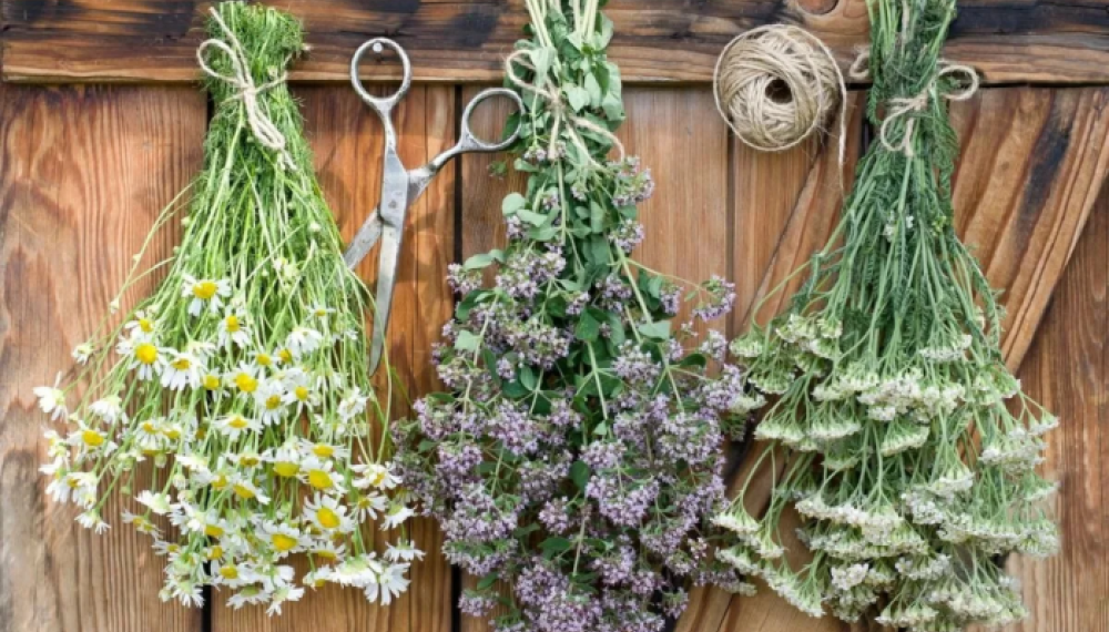 Корисні рецепти народної медицини