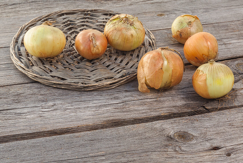 Чому цибуля чорніє?