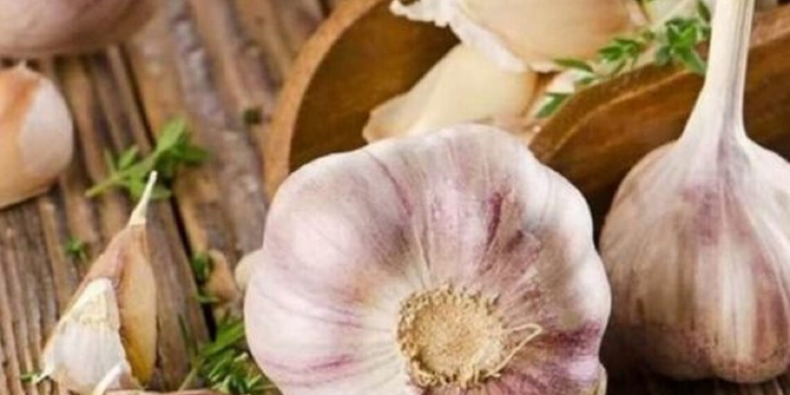 3 секрети високої врожайності часнику